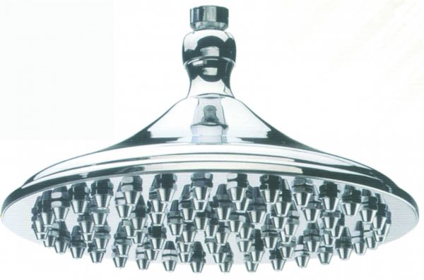 Stachelbrausekopf 1/2 Stachelbrausekopf 1/2